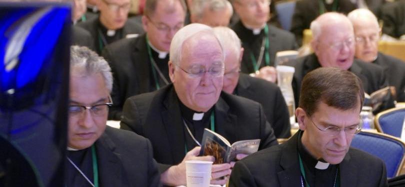 Sheep without shepherds