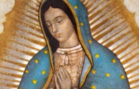 Guadalupe Gratitude